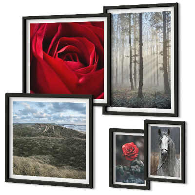 Ensemble de 5 tableaux Fleurs naturelles de styles différents