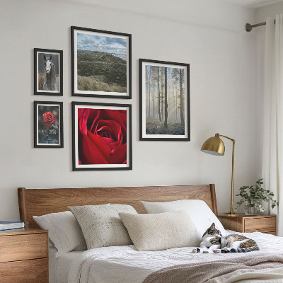 Ensemble de 5 tableaux Fleurs naturelles de styles différents