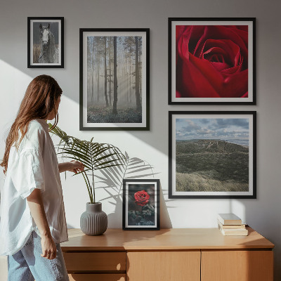 Ensemble de 5 tableaux Fleurs naturelles de styles différents