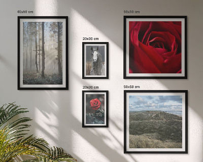 Ensemble de 5 tableaux Fleurs naturelles de styles différents