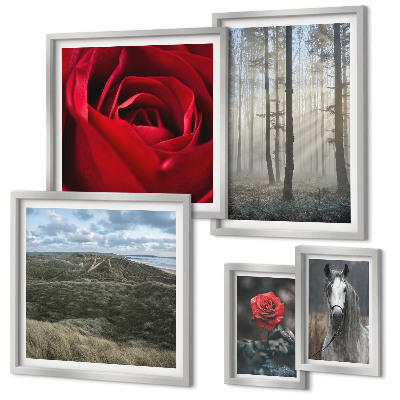 Ensemble de 5 tableaux Fleurs naturelles de styles différents