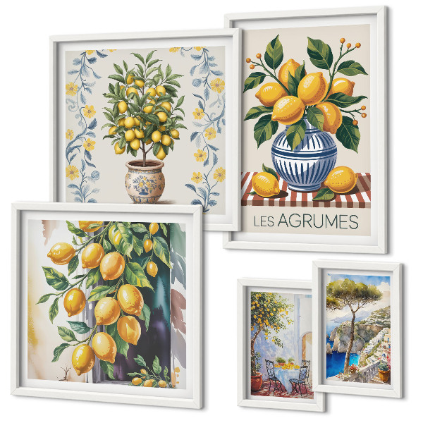 Lot de tableaux encadrés Agrumes de style méditerranéen