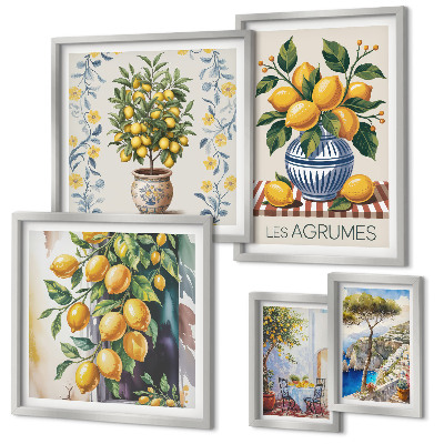 Lot de tableaux encadrés Agrumes de style méditerranéen