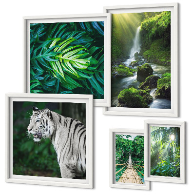 Ensemble de 5 tableaux Paysages naturels tropicaux