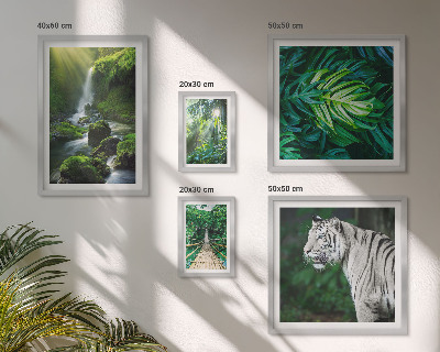Ensemble de 5 tableaux Paysages naturels tropicaux