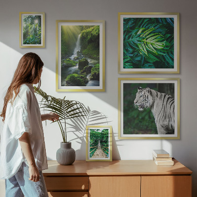 Ensemble de 5 tableaux Paysages naturels tropicaux
