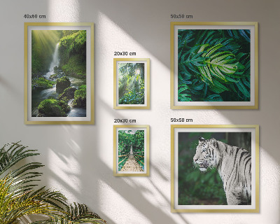 Ensemble de 5 tableaux Paysages naturels tropicaux