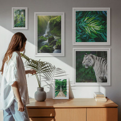 Ensemble de 5 tableaux Paysages naturels tropicaux