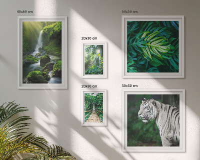 Ensemble de 5 tableaux Paysages naturels tropicaux