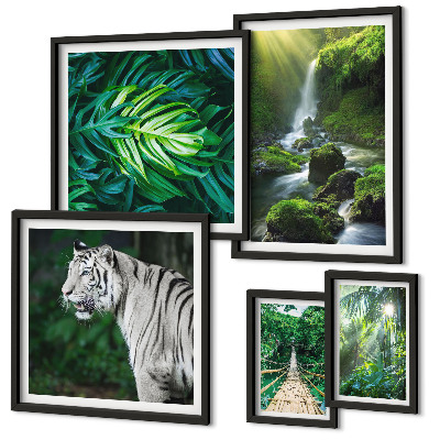 Ensemble de 5 tableaux Paysages naturels tropicaux