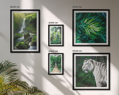 Ensemble de 5 tableaux Paysages naturels tropicaux