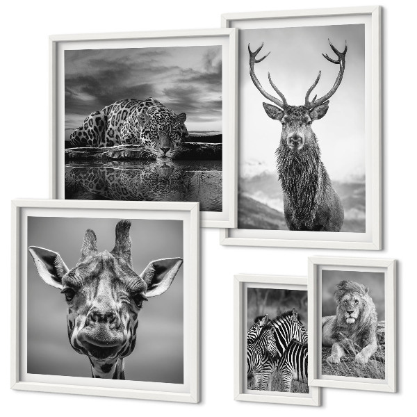 Ensemble de 5 tableaux Animaux noirs et blancs nature