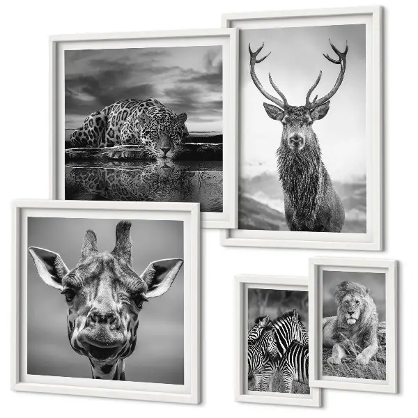 Ensemble de 5 tableaux représentant des animaux dans la nature en noir et blanc