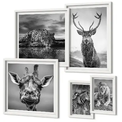 Ensemble de 5 tableaux représentant des animaux dans la nature en noir et blanc