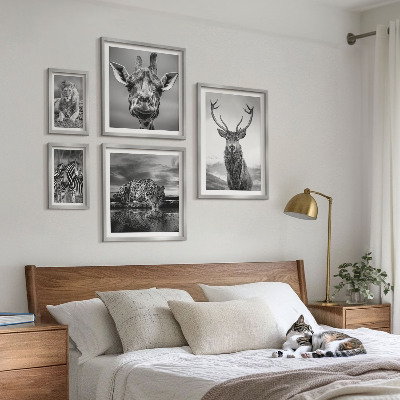 Ensemble de 5 tableaux Animaux noirs et blancs nature