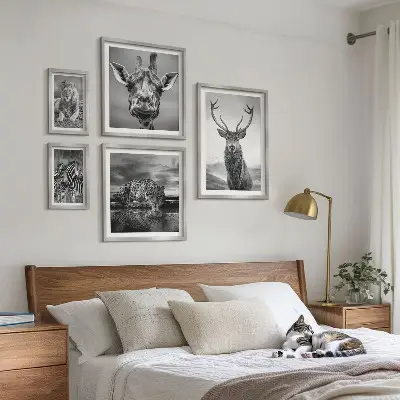 Ensemble de 5 tableaux représentant des animaux dans la nature en noir et blanc