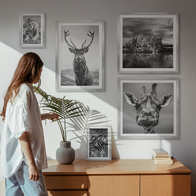 Ensemble de 5 tableaux Animaux noirs et blancs nature