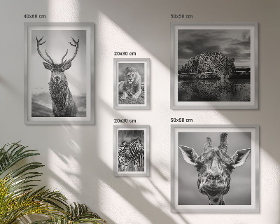 Ensemble de 5 tableaux Animaux noirs et blancs nature