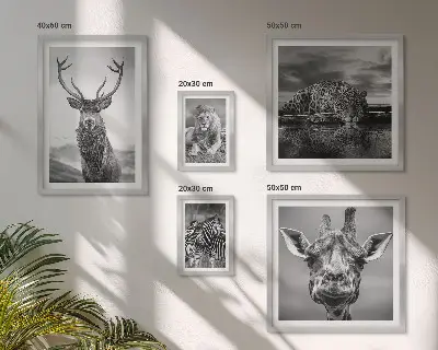 Ensemble de 5 tableaux représentant des animaux dans la nature en noir et blanc