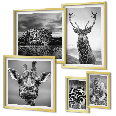 Ensemble de 5 tableaux Animaux noirs et blancs nature