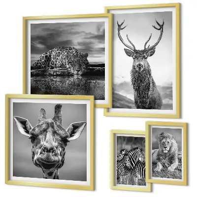 Ensemble de 5 tableaux représentant des animaux dans la nature en noir et blanc
