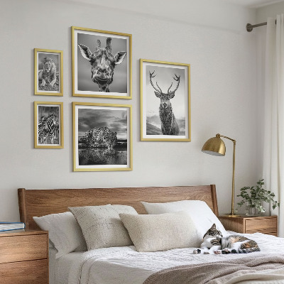 Ensemble de 5 tableaux Animaux noirs et blancs nature
