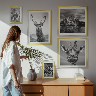 Ensemble de 5 tableaux Animaux noirs et blancs nature