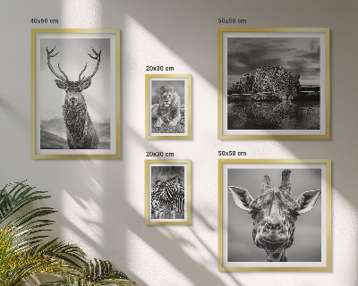 Ensemble de 5 tableaux Animaux noirs et blancs nature