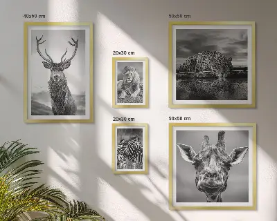 Ensemble de 5 tableaux représentant des animaux dans la nature en noir et blanc