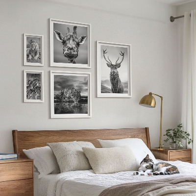 Ensemble de 5 tableaux Animaux noirs et blancs nature