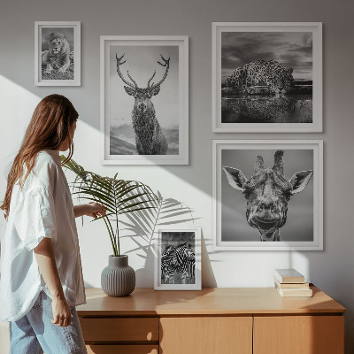 Ensemble de 5 tableaux Animaux noirs et blancs nature