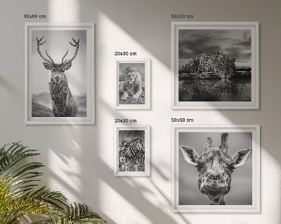 Ensemble de 5 tableaux Animaux noirs et blancs nature