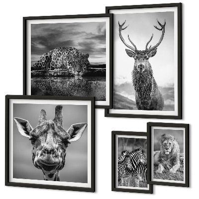Ensemble de 5 tableaux Animaux noirs et blancs nature