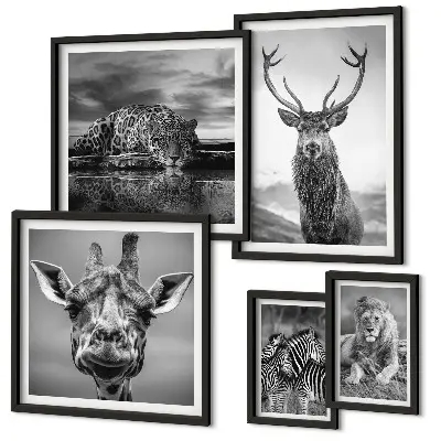 Ensemble de 5 tableaux représentant des animaux dans la nature en noir et blanc