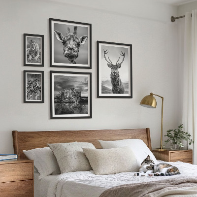 Ensemble de 5 tableaux Animaux noirs et blancs nature