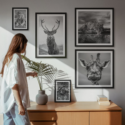 Ensemble de 5 tableaux Animaux noirs et blancs nature