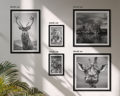 Ensemble de 5 tableaux Animaux noirs et blancs nature