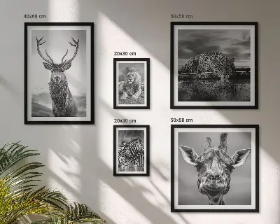 Ensemble de 5 tableaux représentant des animaux dans la nature en noir et blanc