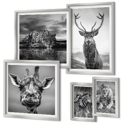 Ensemble de 5 tableaux Animaux noirs et blancs nature
