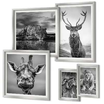 Ensemble de 5 tableaux représentant des animaux dans la nature en noir et blanc