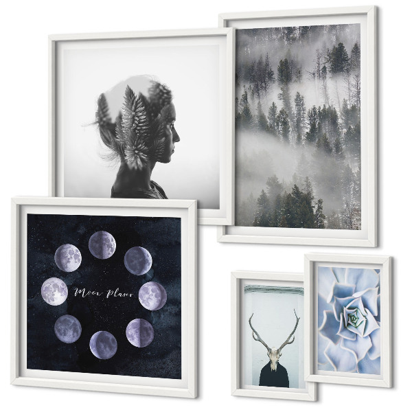 Ensemble de 5 tableaux Motifs spatiaux de forêt naturelle