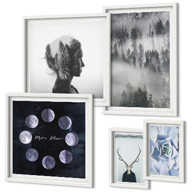 Ensemble de 5 tableaux Motifs spatiaux de forêt naturelle