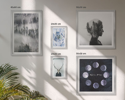 Ensemble de 5 tableaux Motifs spatiaux de forêt naturelle