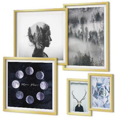 Ensemble de 5 tableaux Motifs spatiaux de forêt naturelle