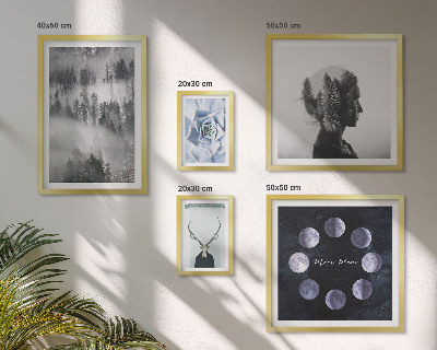 Ensemble de 5 tableaux Motifs spatiaux de forêt naturelle