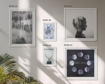 Ensemble de 5 tableaux Motifs spatiaux de forêt naturelle