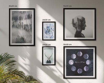 Ensemble de 5 tableaux Motifs spatiaux de forêt naturelle