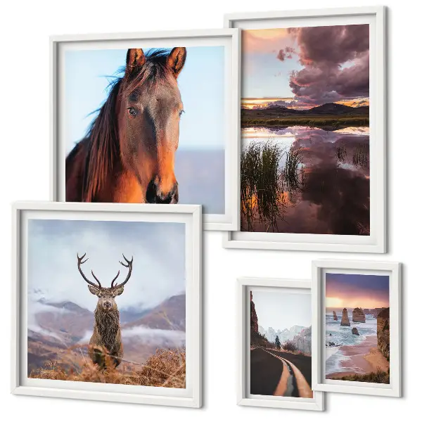 Ensemble de 5 tableaux sur le thème de la beauté naturelle des paysages