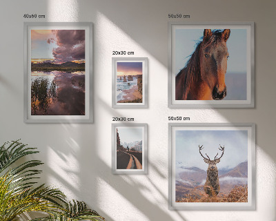 Ensemble de 5 tableaux La beauté naturelle des paysages
