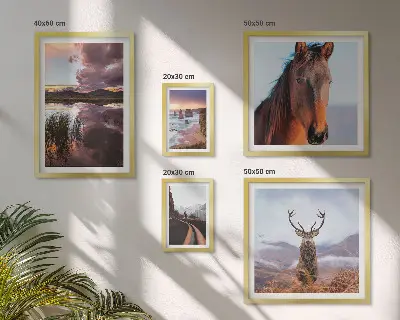 Ensemble de 5 tableaux sur le thème de la beauté naturelle des paysages